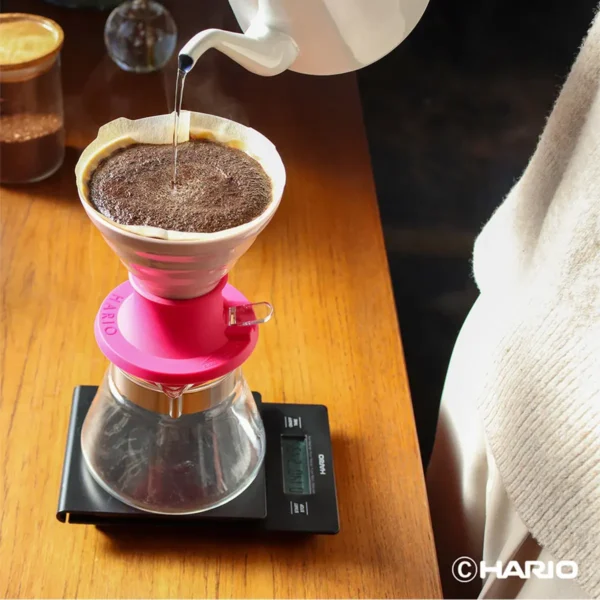 V60 Immersion seramik Dripper SWITCH