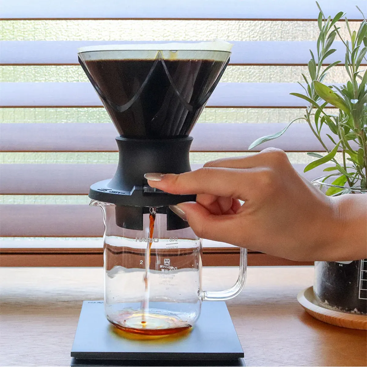 hario mugen switch dripper